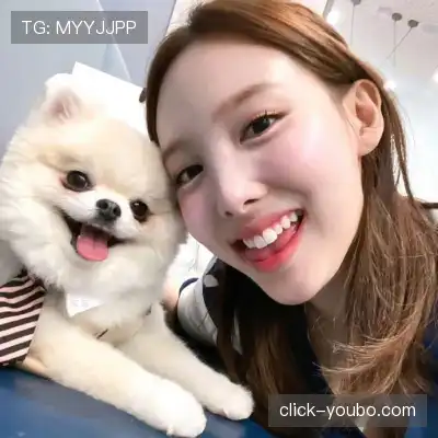 芮行京